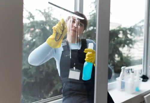 Nettoyage de vitres intérieures et extérieures à Saint-Bonnet-des-Bruyères